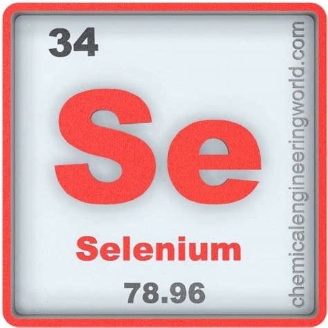 se1entium|SELENIUM